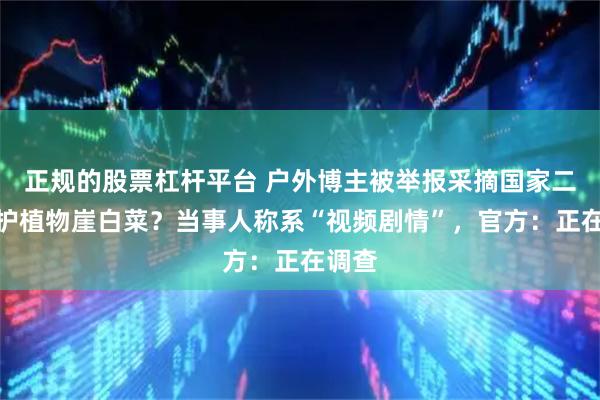 正规的股票杠杆平台 户外博主被举报采摘国家二级保护植物崖白菜？当事人称系“视频剧情”，官方：正在调查