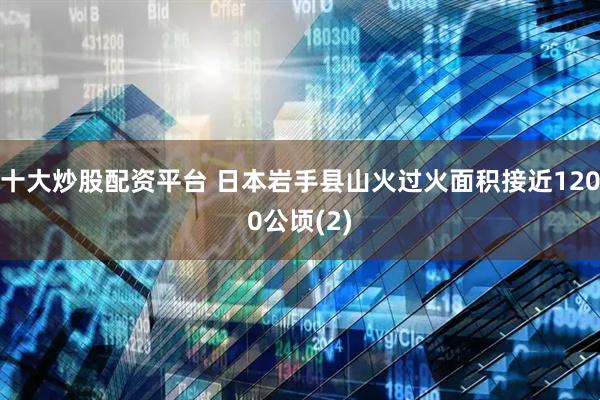 十大炒股配资平台 日本岩手县山火过火面积接近1200公顷(2)