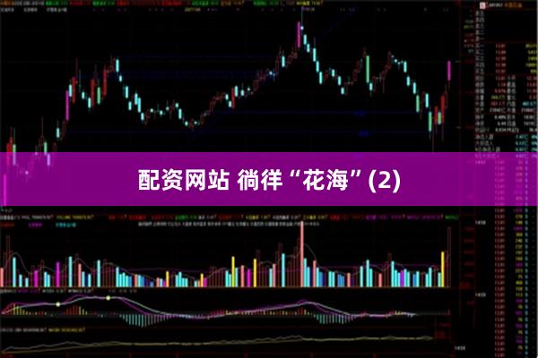 配资网站 徜徉“花海”(2)